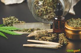 How To Make Cannabis Alcohol Tincture Aka Green Dragon Dank Yum