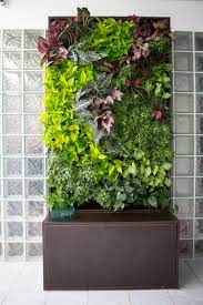 Some are simply walls covered with climbing plants, while others involve a modular system that allows plants to grow inside the structures. Pin On Vertical Gardening