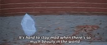 Beautyamerican beauty, by lester burnham. American Beauty American Beauty Movie American Beauty Beauty Quotes Inspirational