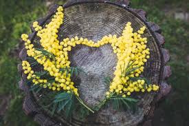 The theme for international women's day 2018 is #pressforprogress. Why Do Women Get Flowers On International Women S Day It S An Awesome Tradition