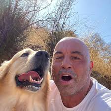 Joe Rogan