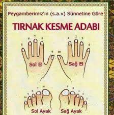 Tirnak Kesme Adabi Peygamberimizin Sunnetine Gore Ilham Verici Alintilar Dualar Alintilar