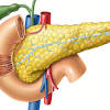 In anatomy and physiology, you'll learn how to divide the abdomen into nine different regions and four different quadrants. 1