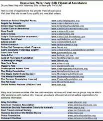 Vet Bill Assistance Vet Clinics Pet Hacks Veterinary