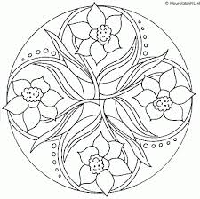 Prachtige bloemen afgewisseld met sierlijke bladeren. Pin Op Creative Interactive