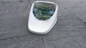 A Random But Cool Way To Use An Antique Bed Pan Its A Perfect Place For A Succulent Garden Bed Pan Antique Beds Succulents Garden