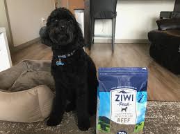Ziwipeak Air Dried Dog Food Review How It Helped My Dog
