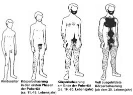 They offer a variety of choices, ranging from black to auburn. How Pubic Hairstyles For Men Can Increase Your Profit Pubic Hairstyles For Men The World Tree Top