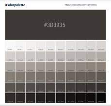 Color Space Information 3d3935 Pantone Black 7 C Similar Pantone Color Name Information Color Flat Color Palette Color Palette Yellow Hex Color Palette