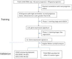 Establishment Of A 12 Gene Expression Signature To Predict