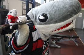 Dass das maskottchen der kölner haie fans auf der ganzen welt hat, ist ja nicht unbekannt. Sharky Offizieller Account Facebook