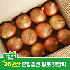 (영흥농산) 26년산 황토 햇양파 3kg/5kg/10kg - 맛뜰무안몰