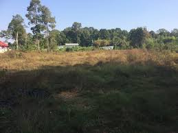 Image result for site:byggahus.se Kalasin