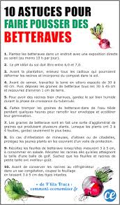 10 Astuces De Maraicher Pour Faire Pousser De Belles Betteraves En 2020 Potager Maraicher Betterave