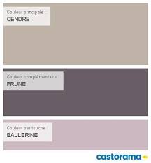 Peinture Cendre Colours Nuancier Peinture Peinture Gris Clair Peinture Bleu Gris