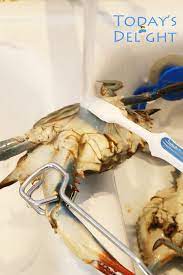 Can you freeze blue crabs? How To Clean Blue Crab Today S Delight