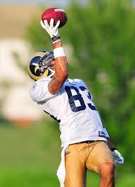 St Louis Rams Wide Receiver Depth Chart Taking Shape