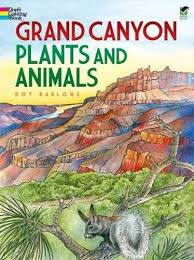 We did not find results for: Grand Canyon Plants And Animals Coloring Book Dover Natu Https Www Amazon Com Dp 0486472949 Ref Animal Coloring Books Coloring Books Horse Coloring Books