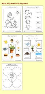 10 Plants Grow Preschool Worksheet Plants Kindergarten Plants Worksheets Plant Unit Kindergarten