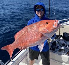 With 20 pound tackle and live baits catching these large snapper can really put up a great fight. Florida Today Fishing Report Red Snapper Weekend Has Arrived