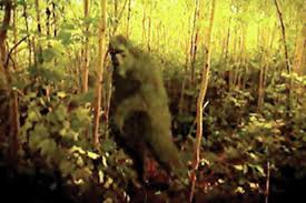 Animal Planet -- TV show asks: Does Bigfoot roam northern Minnesota? -  Detroit Lakes Tribune | News, weather, sports from Detroit Lakes, Minnesota