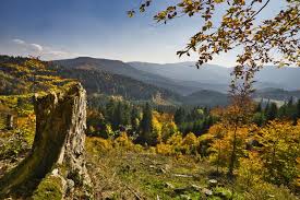 Die slowakei (slowakisch , amtlich slowakische republik, slowakisch ) ist ein binnenstaat in mitteleuropa, der an österreich, tschechien, polen, die ukraine und ungarn grenzt. Naturparadies Im Herzen Europas Slowakei Wanderreise 10 T Activida