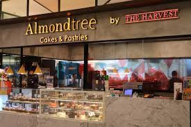 Raudonojo aksomo migdoliniai morengai (red velvet macarons). Almond Tree Kitchen Hopping Experience Making Matcha Bun Red Velvet Roulade And Screaming Mango