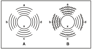 Cele mai cunoscute exemple sunt penicilinele naturale: Antibioza Si Antibiograma Victor Babes