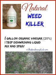 Vinegar Weed Killer Killing Weeds The Organic Way