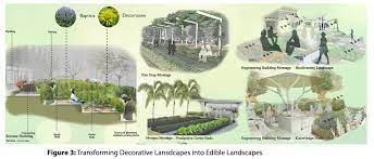 permaculture campus in the desert visions for qatar university permaculture permaculture design campus