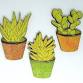 Glowforge Succulent Magnets