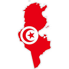 Un rapport qualité/prix imbattable ? Autocollant Sticker Voiture Carte Tunisie Tunisien Achat Vente Stickers Cdiscount