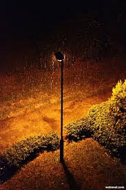 30 Stunning Rain Photography examples | Rain photography, Rain photo, Night  photography