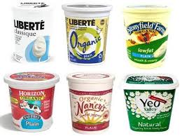 Dairy Products Cheese Kefir Yogurt Are Good For Dogs And Cats Raw Pet Food Kefir Kefir Yogurt
