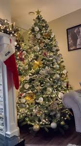 Aisling O Donnell Lorry