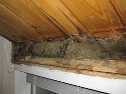 Image result for site:byggahus.se rötskada