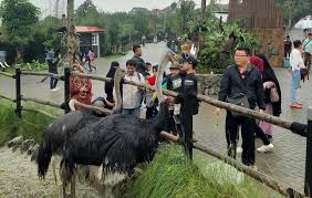 Sementara untuk jam operasionalnya, seaworld ancol ini dibuka untuk umum di setiap hari yang diberlakukan mulai jam 08.00 sampai denga pukul 18.00 dengan harga tiket masuk yang sepadan dengan semua fasilitas terbaiknya, sehinga ini sangat memungkinkan pengguna untuk bereksperimen tentang apa yang ada dari tempat ini, seperti yang ada dari. Mau Ke Lembang Park And Zoo Ini Harga Tiket Masuk Dan Alamat Lengkapnya Halobdg Com