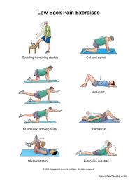 Deadlifts, squats, and back extensions are just a few exercises that can help strengthen your lower back. Pin On Maintaining Weight Loss