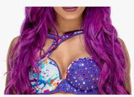 Wwe sasha banks png png image clipart is a handpicked free hd png images. Sasha Banks Png Wwe Sasha Banks Raw Women S Champion Png Image Transparent Png Free Download On Seekpng