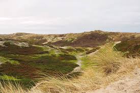 Ich Will Zuruck Nach Westerland Travelisto Familien Reiseblog Sylt Westerland Ausflug