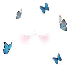 Freetoedit Butterflies Butterfly Butterflys Butterflybackground Butterflycrown Instagram Ins Butterfly Background Cute Emoji Wallpaper Overlays Picsart