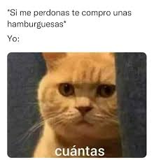 Distribuidora de Carne de calidad