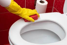 Wer diese arbeit regelmäßig erledigt, hat weniger arbeit! Vergilbte Toilettenbrille Reinigen So Wird Sie Richtig Sauber