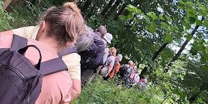 Netwalk - Ae Forest - Dumfries - Reboot Adventures