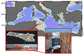 A platform for your creative community. Bg Atmospheric Deposition Of Organic Matter At A Remote Site In The Central Mediterranean Sea Implications For The Marine Ecosystem