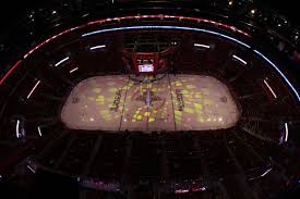 2013 Florida Panthers Organizational Depth Chart Litter