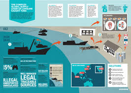 Infographic Over The Longline Fishing Industry For Greenpeace International 2013 Art Direction And Design Sue Cowell Atomod Infographie Peche Illustration