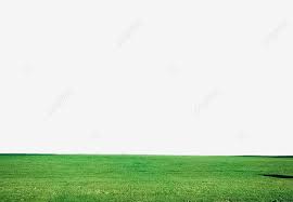 Green Grass Lawn Png Material Under The Blue Sky Green Grass Under The Blue Sky Green Grass Grassy Grass Png Transparent Clipart Image And Psd File For Free In 2021
