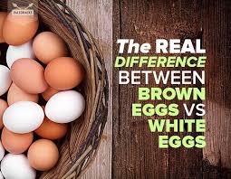 The Real Difference Between Brown Eggs Vs White Eggs Brown Eggs White Eggs Easy Ketogenic Meal Plan