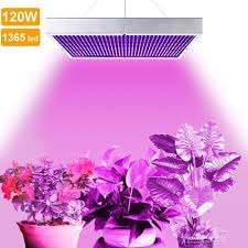 Source high quality products in hundreds of categories wholesale direct from china. Top 5 Best 120 Watt Led Grow Lights Review For Your Plants Led Grow Lights Grow Lights Led Grow Lights Plants